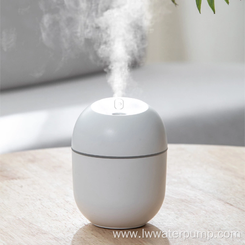 Portable Face Mist Nano Mist Sprayer